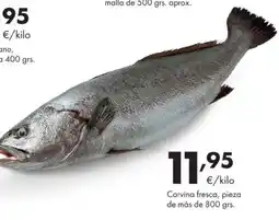 Supermercados Lupa Corvina fresca oferta