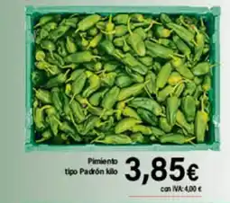 Cash Ifa Pimiento tipo Padrón oferta