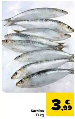 Carrefour Market Sardina oferta