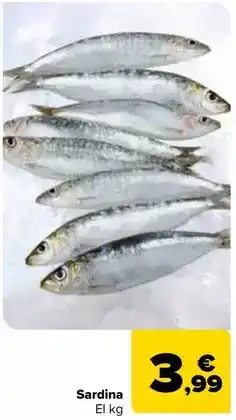 Carrefour Sardina oferta