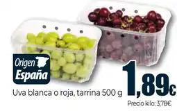 Unide Supermercados Uva blanca o roja tarrina oferta