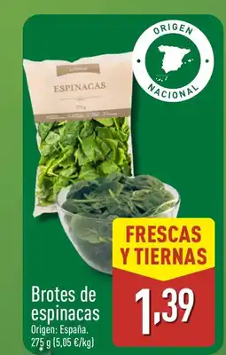 ALDI Brotes de espinacas oferta