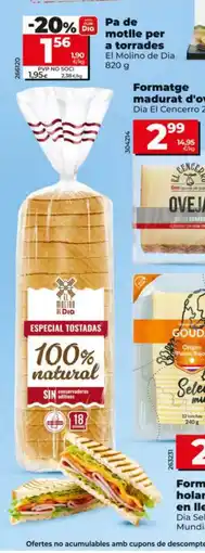Dia Pa de motlle per a torrades oferta