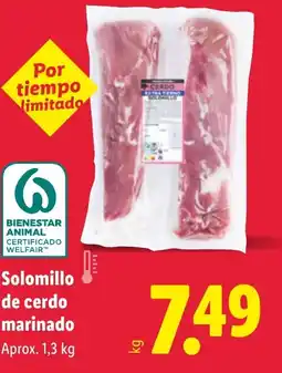 Lidl Solomillo de cerdo marinado oferta