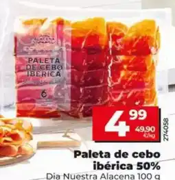Dia Dia nuestra alacena - paleta de cebo ibérica 50% oferta