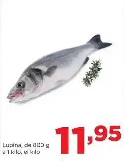 Alimerka Lubina oferta