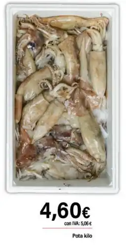 Cash Ifa Pota oferta
