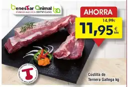 FROIZ Costilla de Ternera Gallega oferta