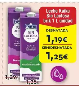 FROIZ Leche Kaiku Sin Lactosa brik oferta
