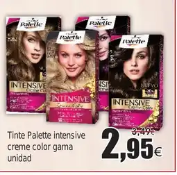 FROIZ Tinte Palette intensive creme color gama unidad oferta