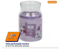 Action Vela perfumada Candra oferta