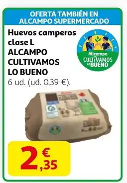 Alcampo Huevos camperos clase L oferta