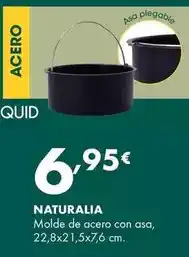 Supermercados Lupa Naturalis - molde de acero con asa oferta