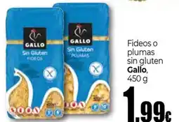 Unide Market GALLO Fideos o plumas sin gluten oferta