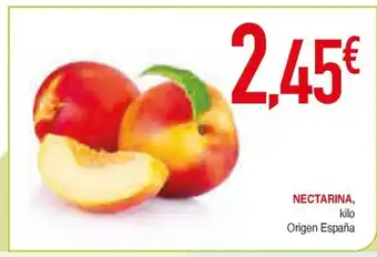 Masymas Nectarina oferta