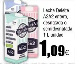 FROIZ DELEITE Leche A2A2 entera, desnatada o semidesnatada oferta