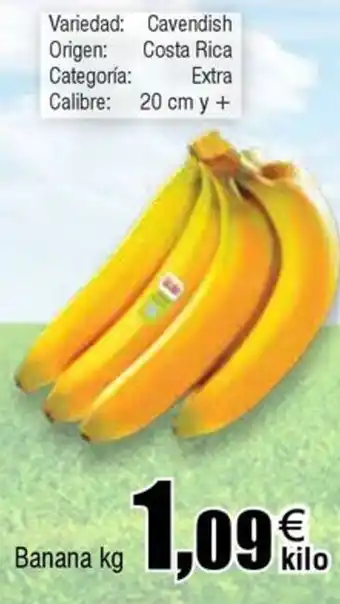 FROIZ Banana oferta