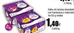 FROIZ KAIKU sin lactosa desnatado con frambuesa o melocotón oferta