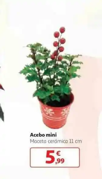 Alcampo Acebo Mini oferta