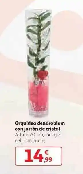Alcampo Orquídea Dendrobium Con Jarrón De Cristal oferta