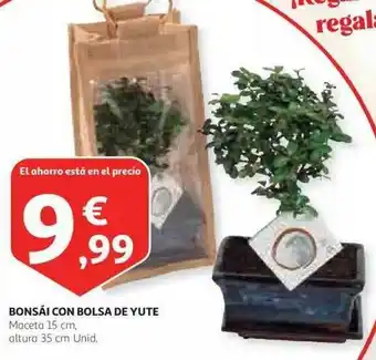 Alcampo Bonsái Con Bolsa De Yute oferta