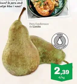 Sorli Pera Conference de Lleida oferta