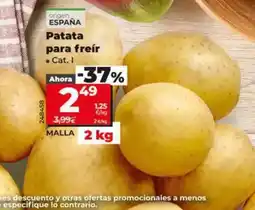 Dia Patata para freír oferta