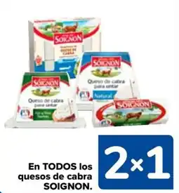 Carrefour SOIGNON En todos los quesos de cabra oferta