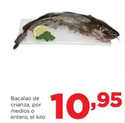 Alimerka Bacalao de crianza, por medios o entero oferta