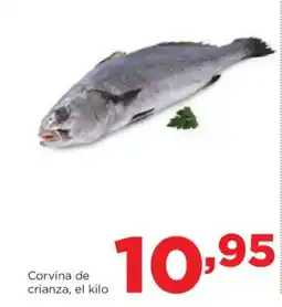 Alimerka Corvina de crianza oferta