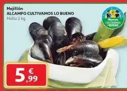 Alcampo Mejillón oferta