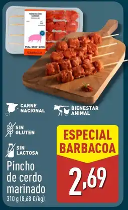ALDI Pincho de cerdo marinado oferta