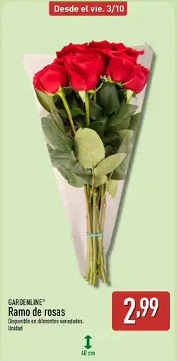 ALDI GARDENLINE Ramo de rosas oferta