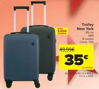 Carrefour Trolley New York oferta