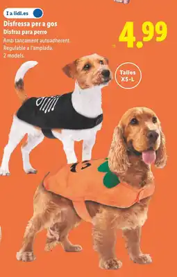 Lidl Disfressa per a gos Disfraz para perro oferta
