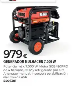 BigMat Generador mulhacen 7.000 w oferta