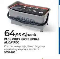 BigMat Pack cubo profesional alicatado oferta