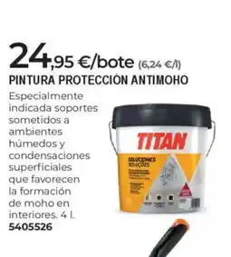 BigMat Pintura protección antimoho oferta