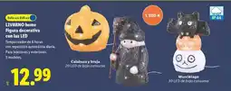Lidl Livarno home - figura decorativa con luc led oferta