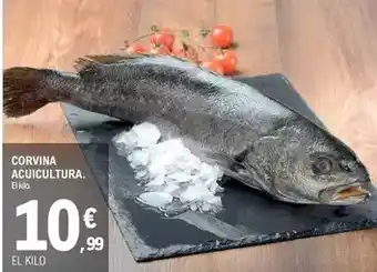 E.Leclerc Corvina acuicultura oferta