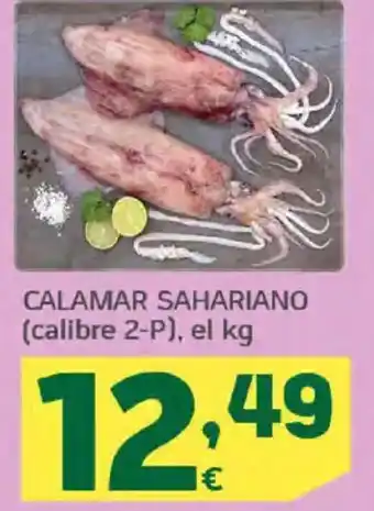 HiperDino Calamar sahariano oferta