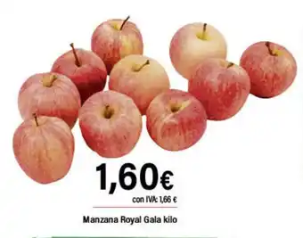 Cash Ifa Manzana Royal Gala oferta