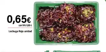 Cash Ifa Lechuga Roja unidad oferta