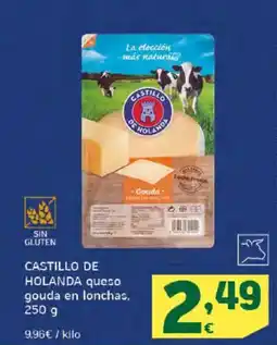 HiperDino CASTILLO DE HOLANDA queso gouda en lonchas, oferta