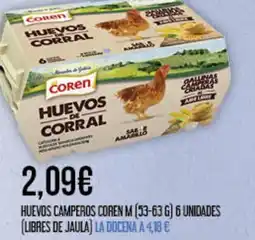 Claudio COREN Huevos camperos m (53-636) 6 unidades (libres de jaula) la docena oferta