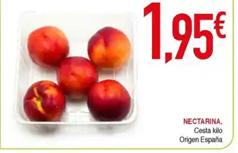Masymas Nectarina oferta