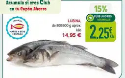 Masymas Lubina oferta