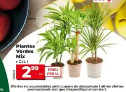 Dia Plantes Verdes Mix oferta