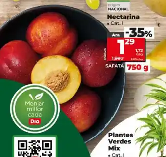 Dia Nectarina oferta
