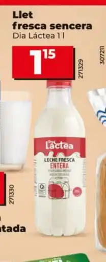 Dia Llet fresca sencera oferta